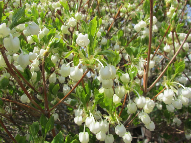 ファイル 3018-5.jpg