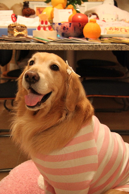 ファイル 3019-1.jpg