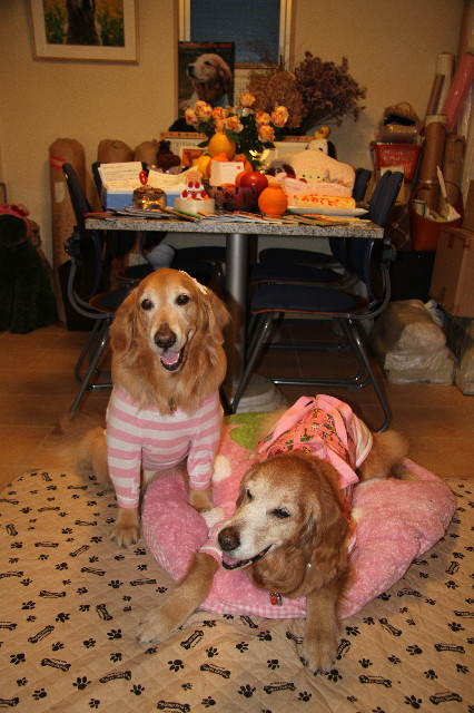 ファイル 3019-2.jpg