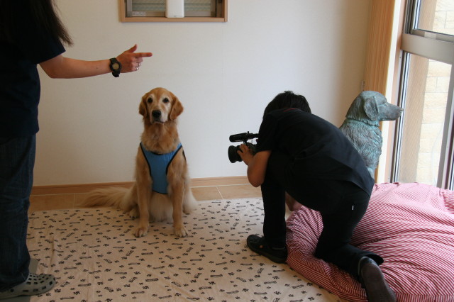 ファイル 302-1.jpg