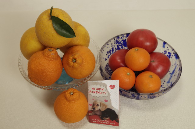 ファイル 3020-2.jpg