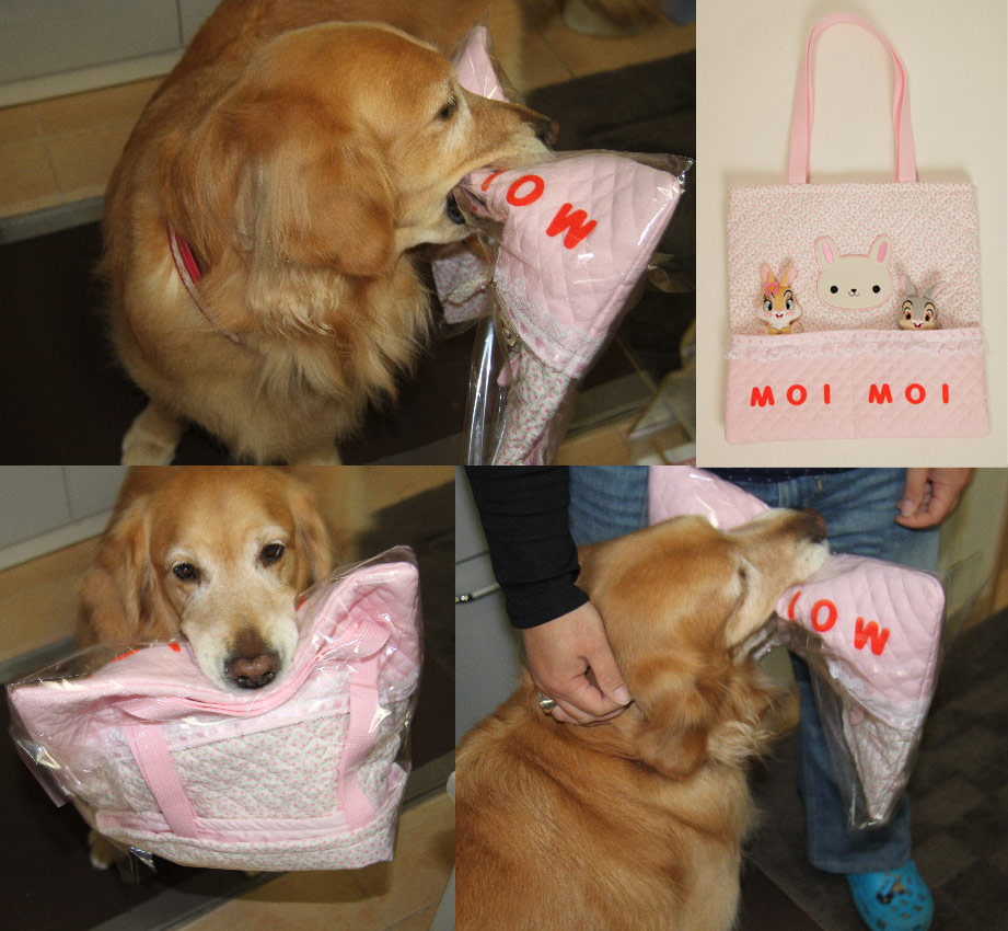 ファイル 3021-1.jpg