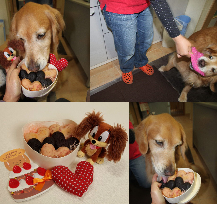 ファイル 3021-3.jpg