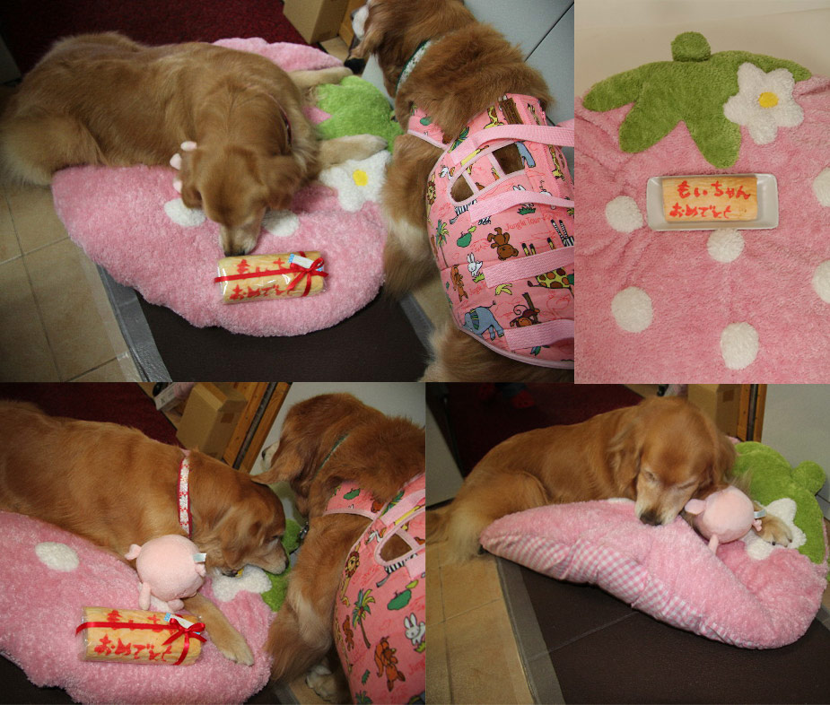 ファイル 3021-4.jpg