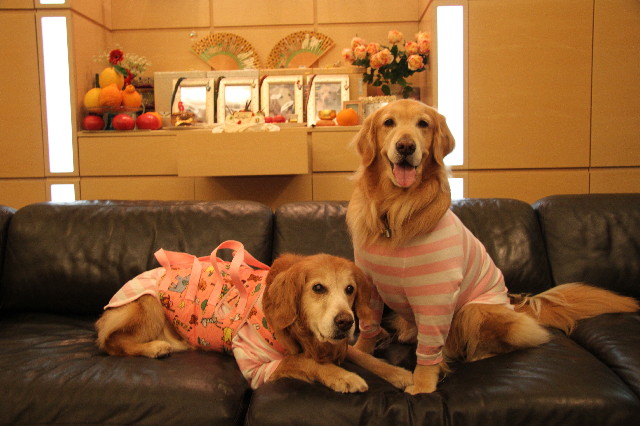 ファイル 3021-5.jpg