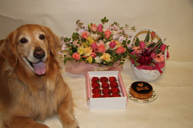 ファイル 3022-1.jpg