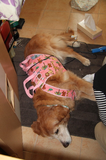 ファイル 3023-3.jpg