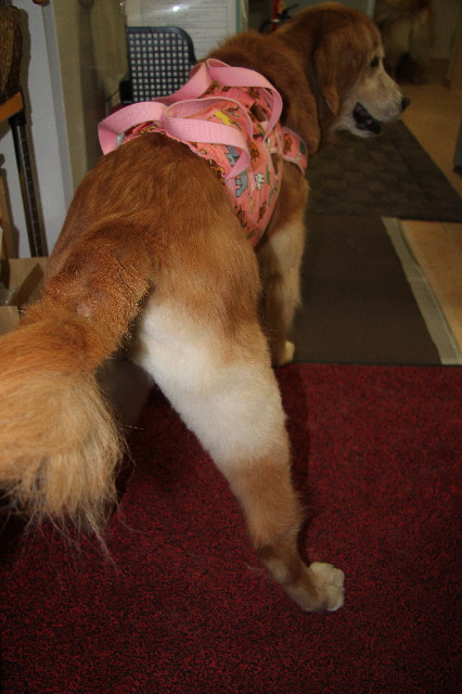 ファイル 3023-4.jpg