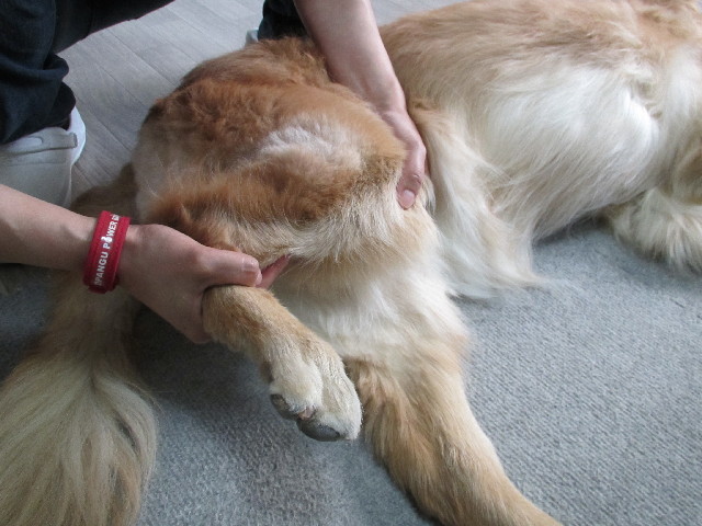 ファイル 3024-1.jpg