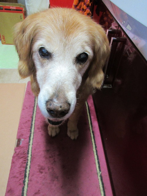 ファイル 3024-4.jpg