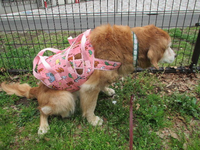 ファイル 3025-5.jpg