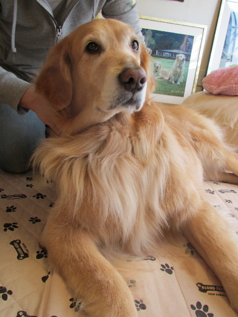 ファイル 3027-2.jpg