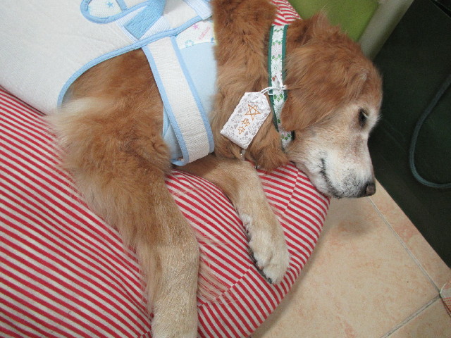 ファイル 3027-4.jpg