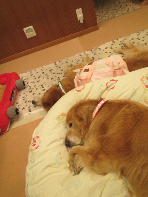 ファイル 3027-5.jpg