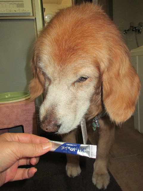 ファイル 3029-3.jpg