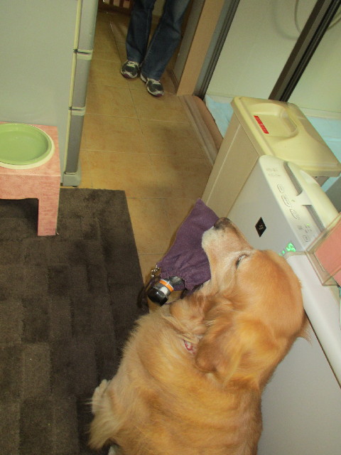 ファイル 3029-4.jpg