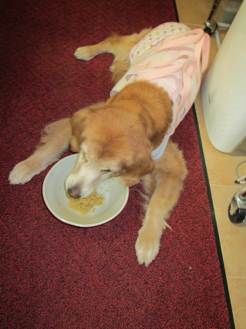 ファイル 3030-4.jpg