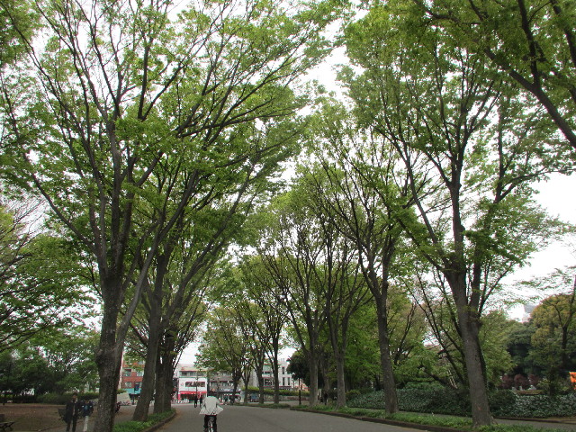 ファイル 3031-3.jpg