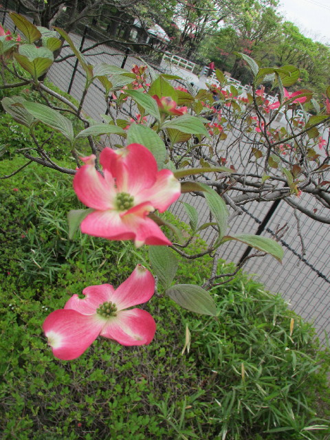 ファイル 3031-5.jpg