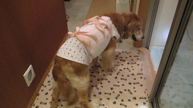 ファイル 3034-1.jpg