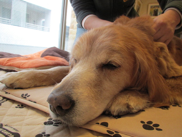 ファイル 3035-2.jpg