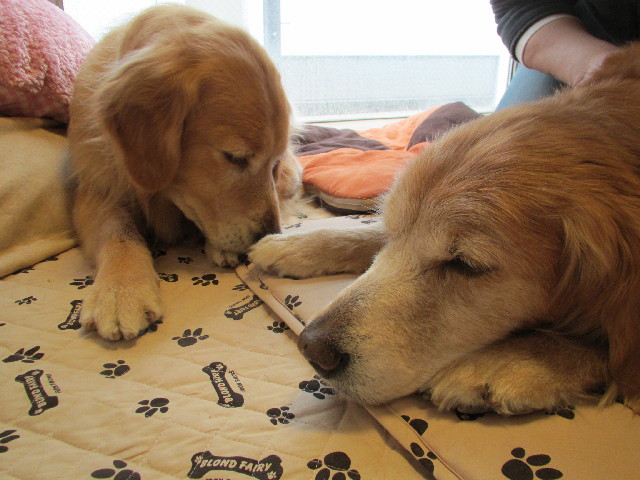 ファイル 3035-3.jpg