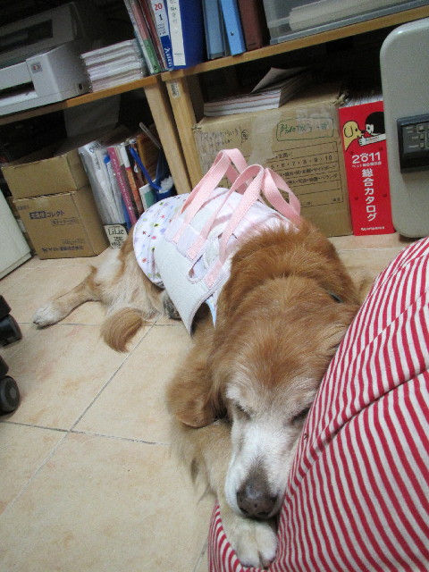 ファイル 3035-4.jpg