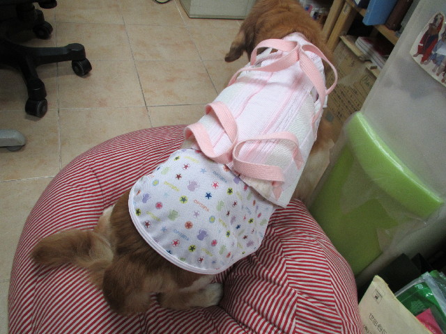 ファイル 3035-5.jpg