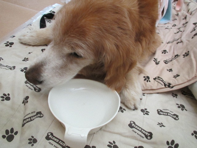 ファイル 3037-4.jpg