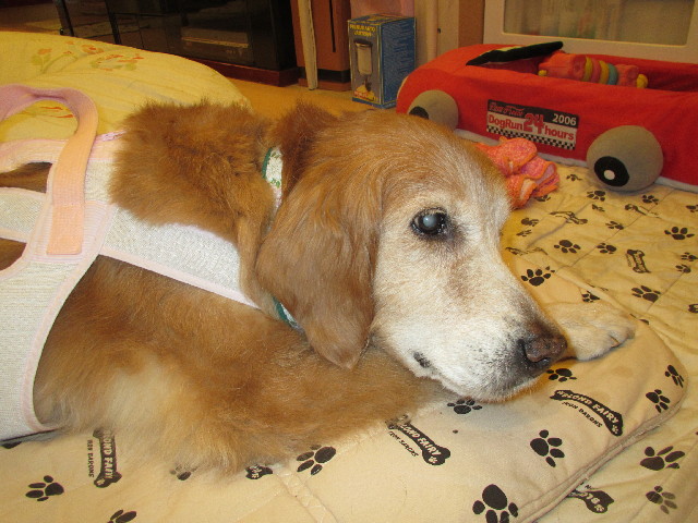 ファイル 3037-5.jpg