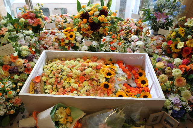 ファイル 3040-2.jpg