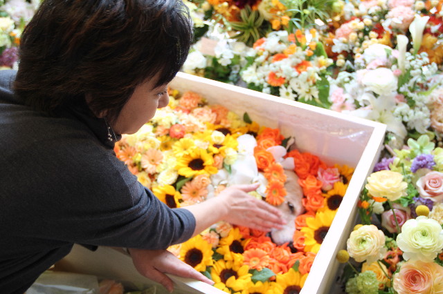 ファイル 3040-3.jpg