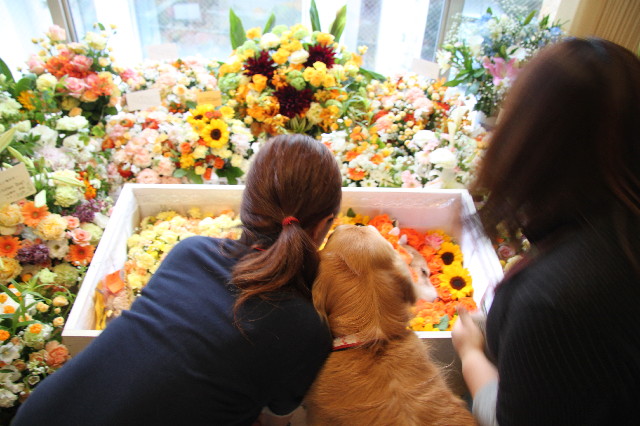 ファイル 3040-4.jpg