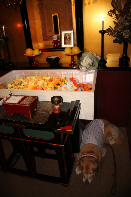 ファイル 3040-5.jpg