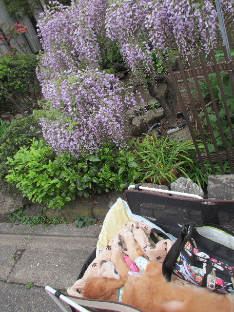 ファイル 3042-3.jpg