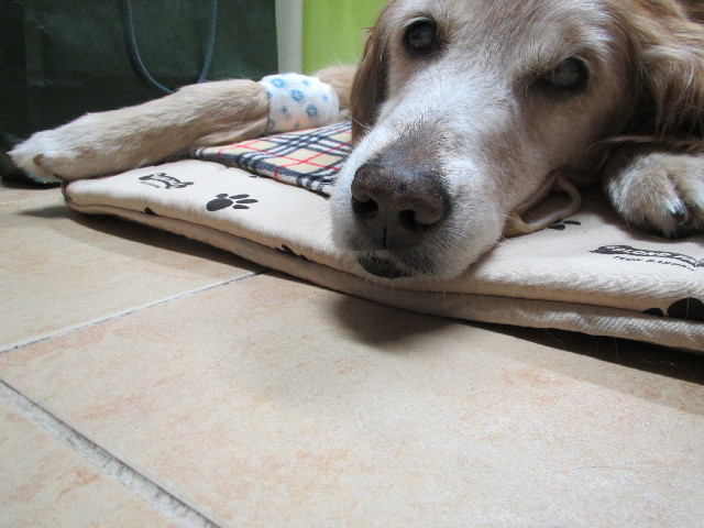 ファイル 3042-4.jpg