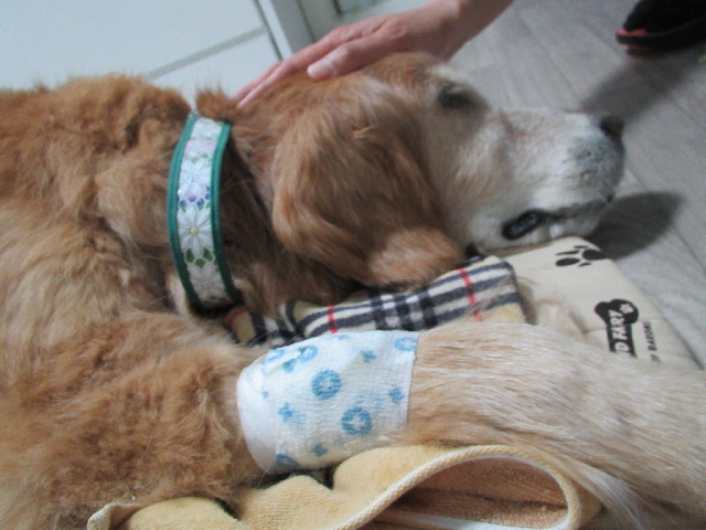 ファイル 3042-5.jpg