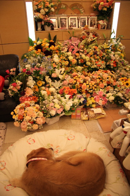 ファイル 3043-3.jpg