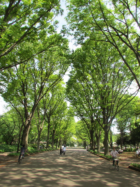 ファイル 3043-5.jpg