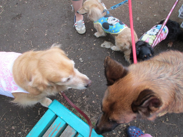 ファイル 3045-1.jpg