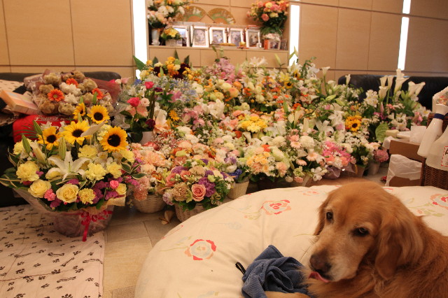 ファイル 3046-4.jpg