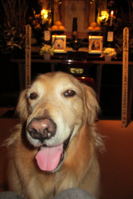 ファイル 3047-5.jpg