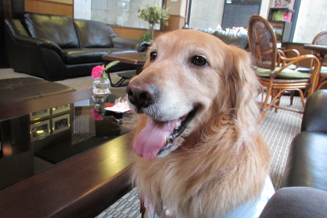 ファイル 3048-1.jpg