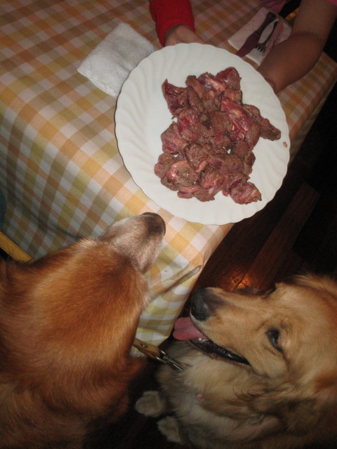 ファイル 305-1.jpg