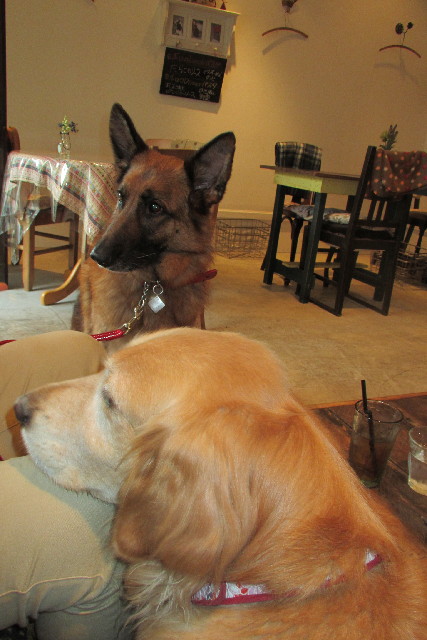 ファイル 3051-3.jpg