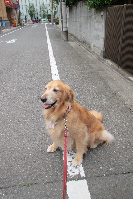 ファイル 3055-2.jpg