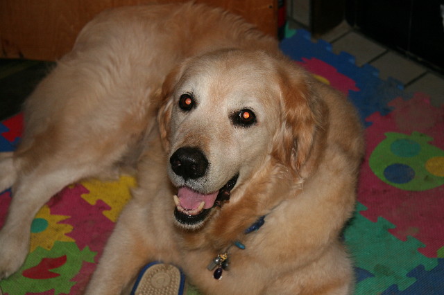 ファイル 3058-1.jpg