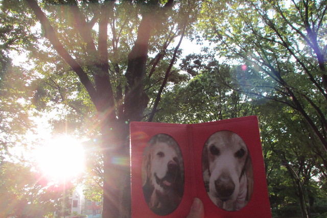 ファイル 3059-4.jpg