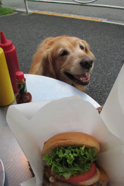 ファイル 3059-5.jpg