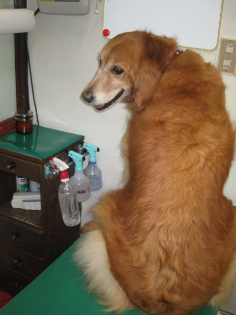 ファイル 306-3.jpg